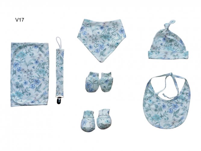 Accesorios V17 digital