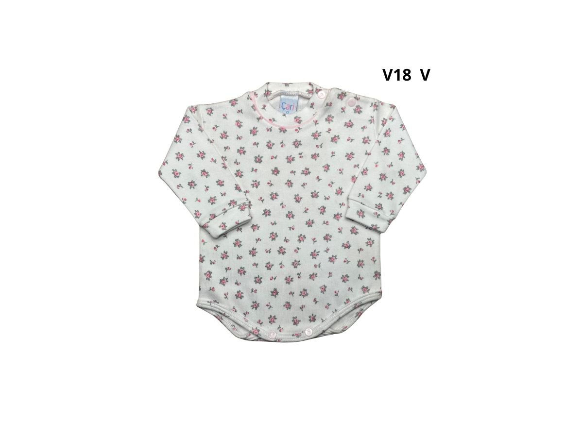 Art. o211 V18 V