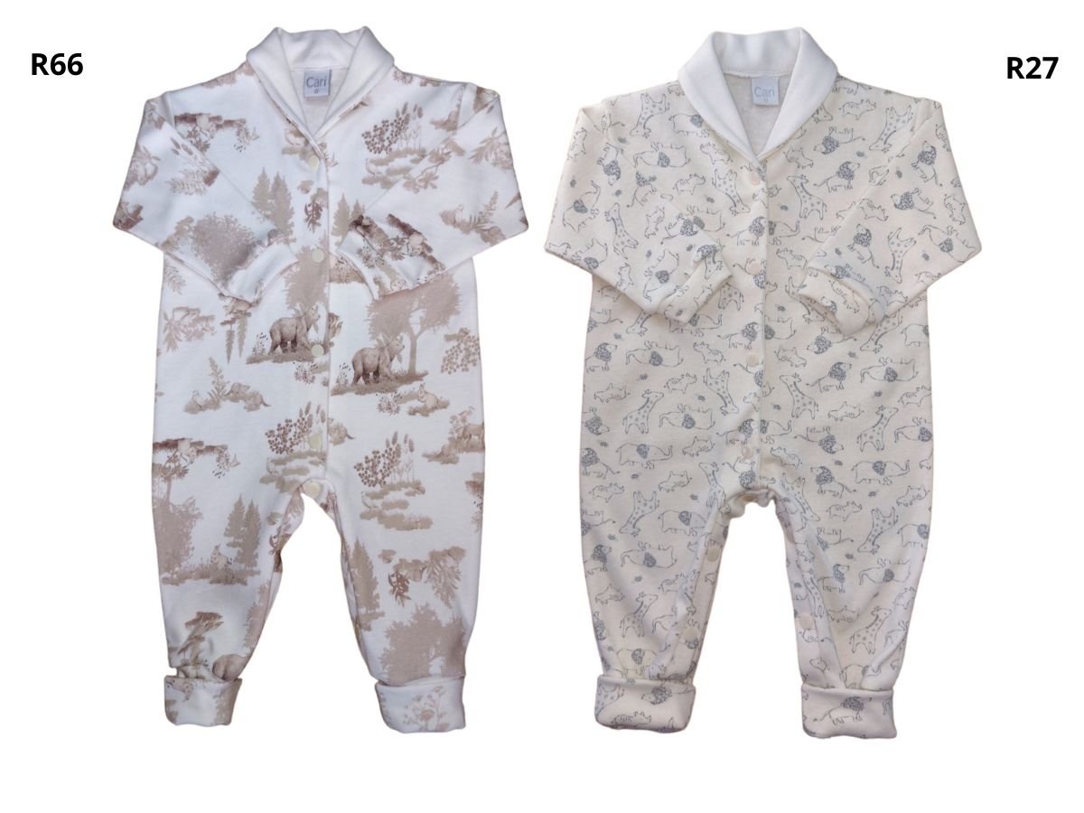 Art o253 R66 / R27